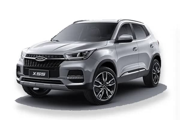 دستگیره بیرونی جلو چپ ام وی ام X55 اکسلنت